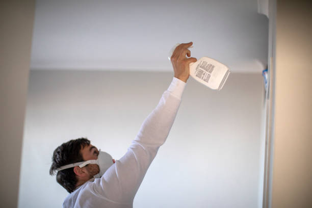 Best Crawl Space Mold Removal  in Concord, VA