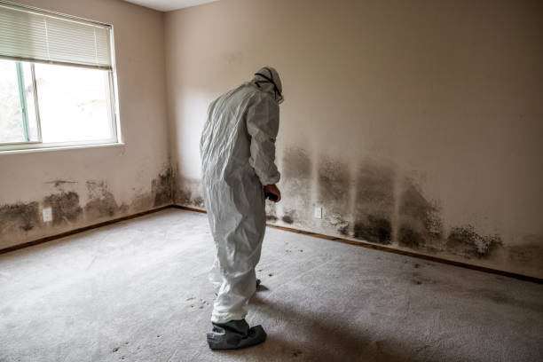 Best Mold Testing  in Concord, VA