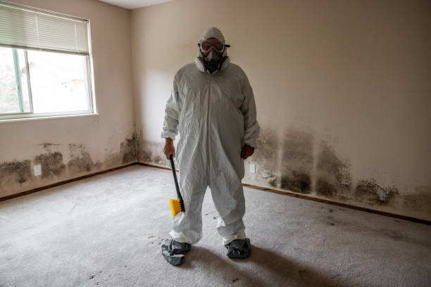 Best Professional Mold Removal  in Concord, VA
